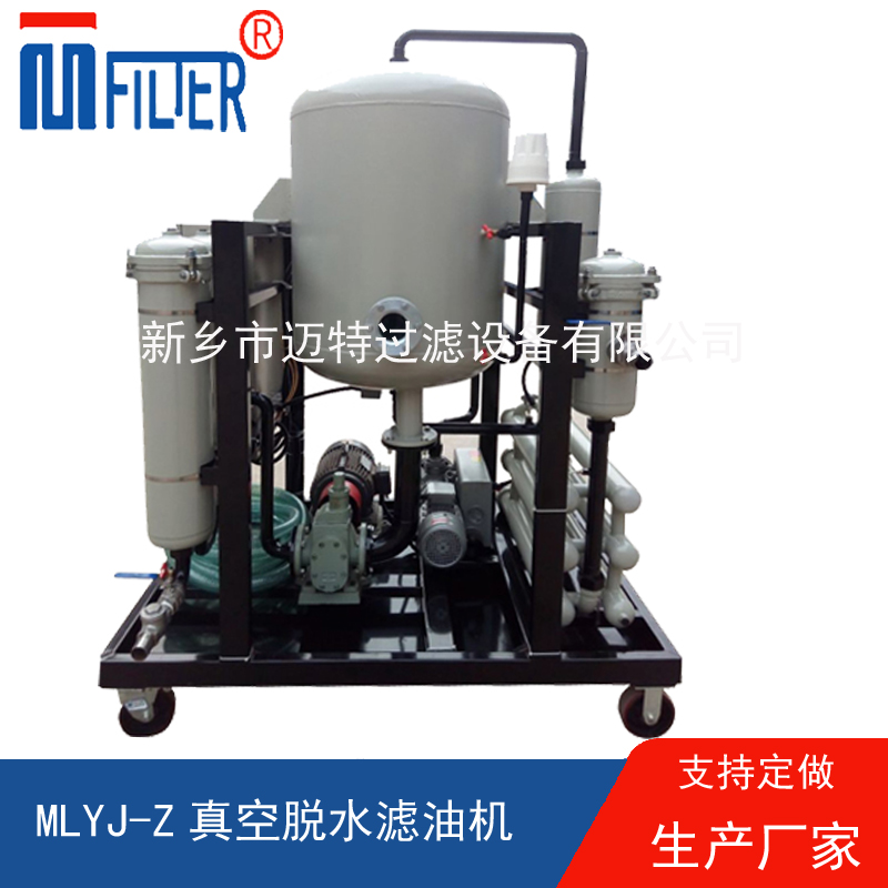 MLYJ-Z真空脱水草莓靠逼视频下载，